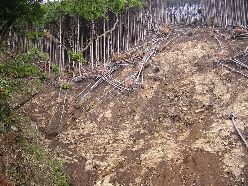 不老山 -- 大規模な崩落