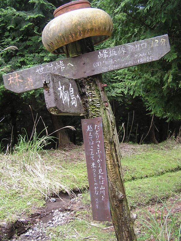 不老山 -- 林道に出合う。ここから引き続き峰坂峠に向かった