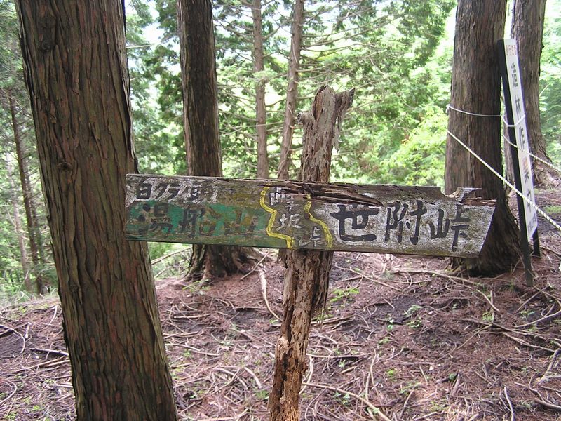 不老山 -- 峰坂峠に到着