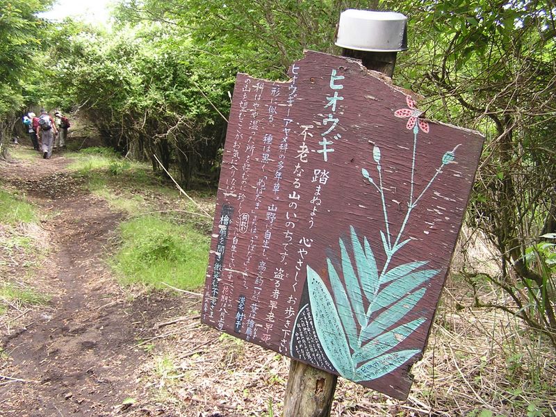 不老山 -- 「盗る者早老早死」だそうだ