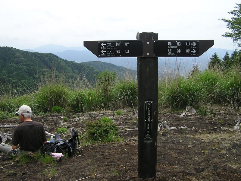 不老山 -- サンショウバラの丘に到着