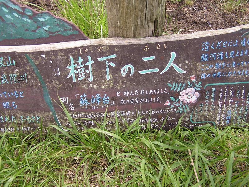 不老山 -- 「樹下の二人」は、平成5年から勝手にそう呼ばれるようになったとある