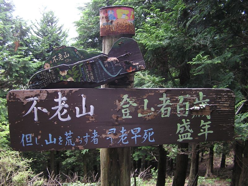 不老山 -- 「登山者百歳盛年」だそうだ