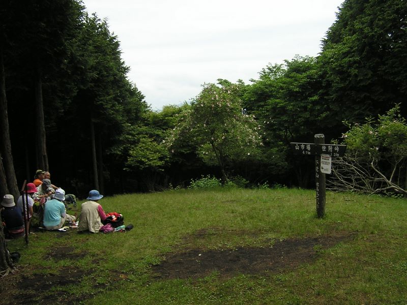 不老山頂の三本のサンショウバラを見ながら弁当を食べる
