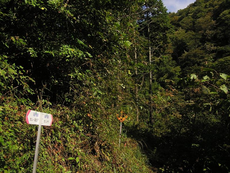 この道標から先は登山道らしくなる