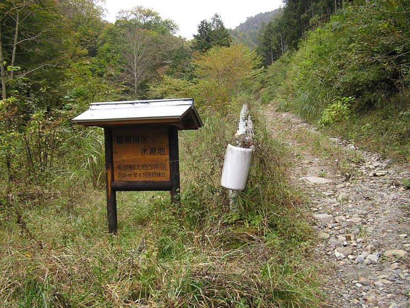 しばらく林道を歩く