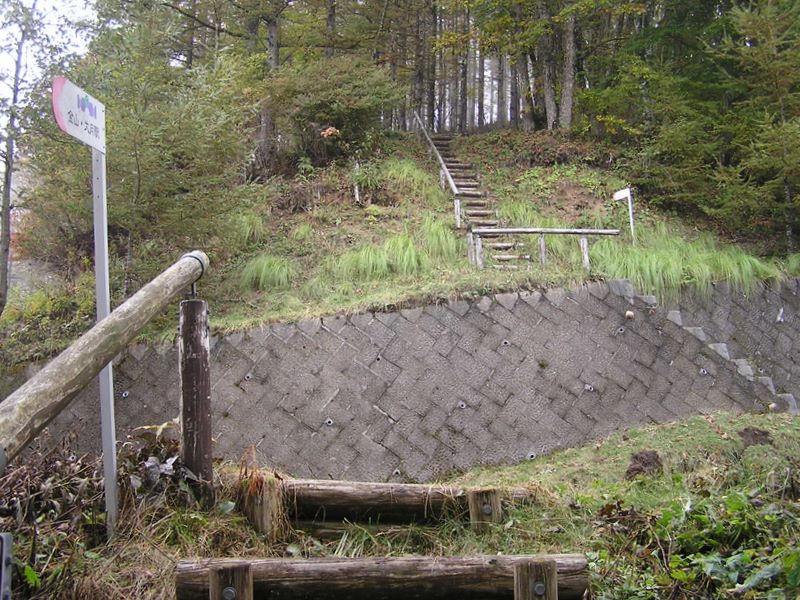 姥子山近くで林道を右に進む