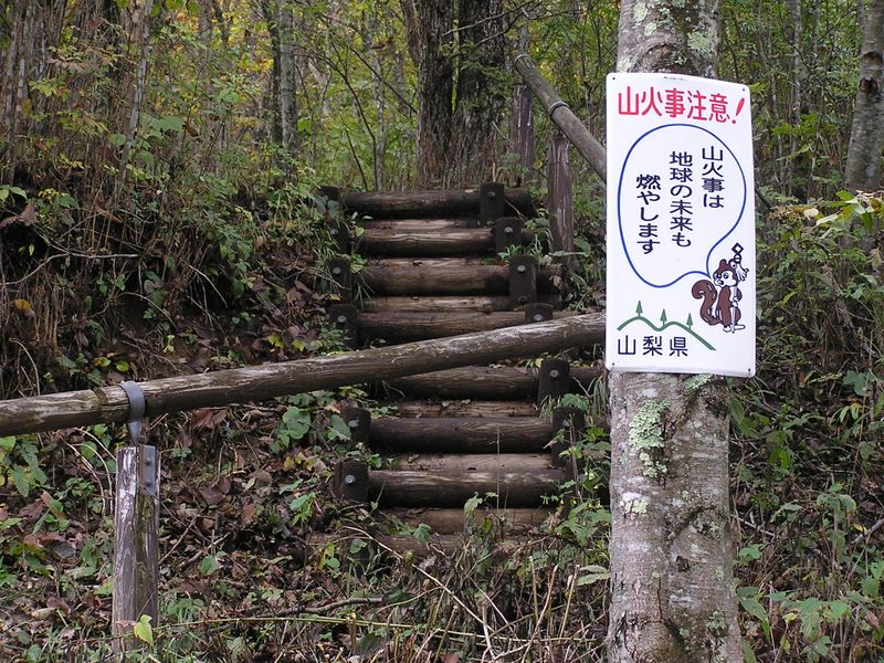 再び林道に戻り、雁ヶ腹摺山に向かう