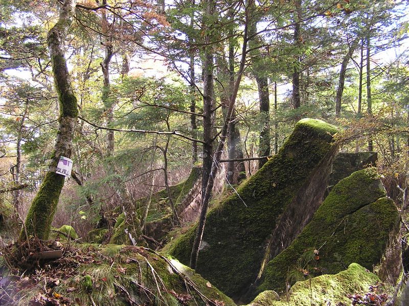 雁ヶ腹摺山 -- 大きな岩の多くが縦に裂けている