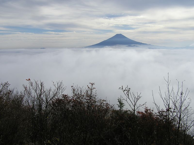 展望台からの富士山