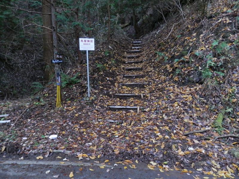 焼山の柏原登山口