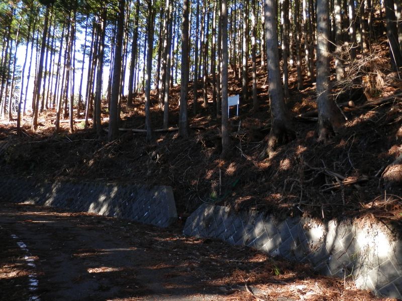 どこから尾根に取り付こうか？