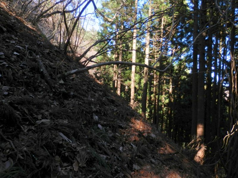 傾斜は極めてきつい