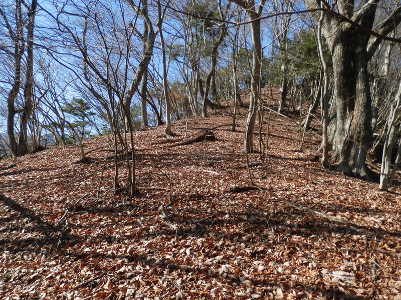 明るいすてきな尾根を登る