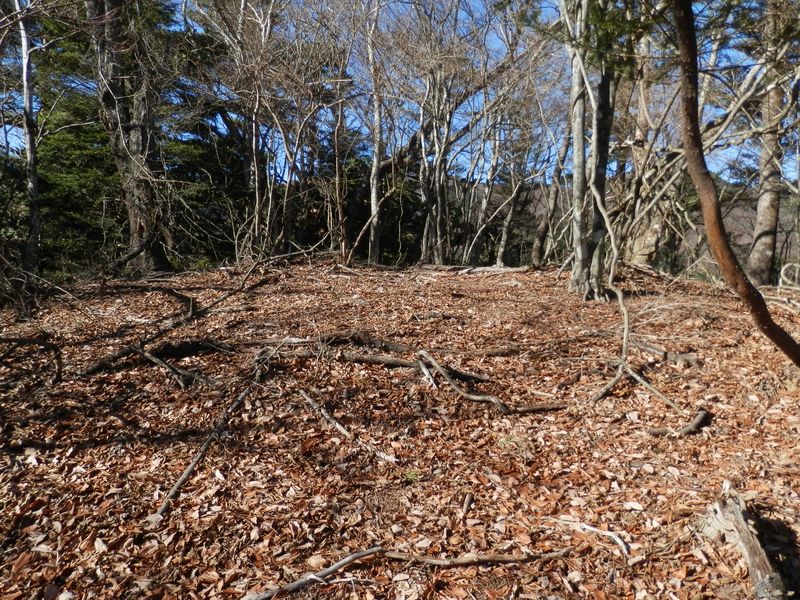 ガタクリ峰 -- 865m峰に到着