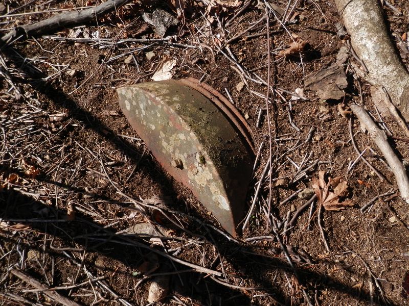 これ、何だろう？