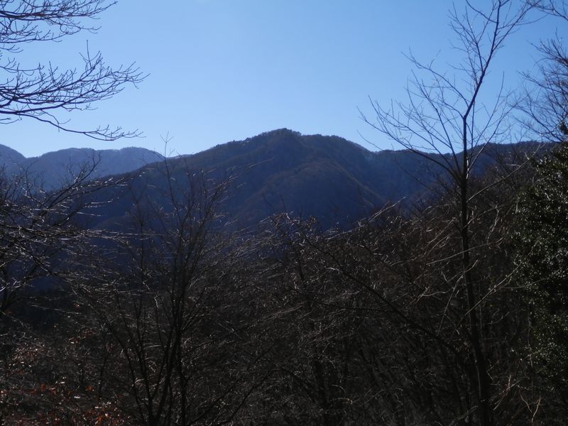 榛ノ木丸の山頂が見え始めた