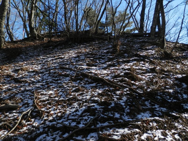 1101m峰を西側から振り返る