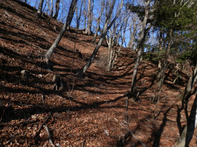 足にやさしいジグザグ道