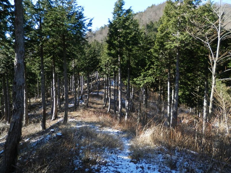 いよいよ東海自然歩道が近い