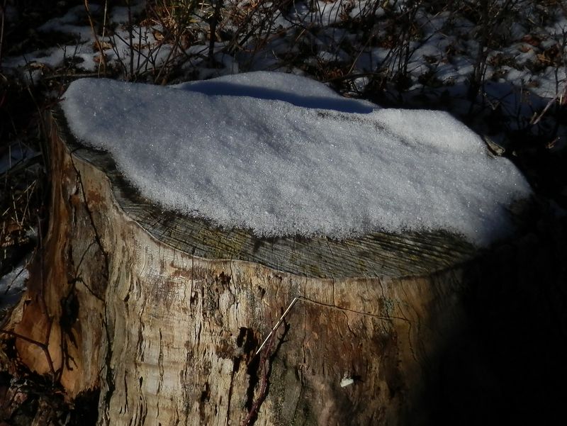 暖かな日差しを受けて