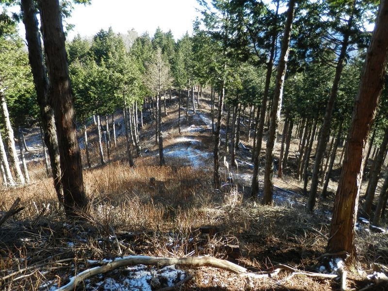 歩いて来た尾根を振り返る