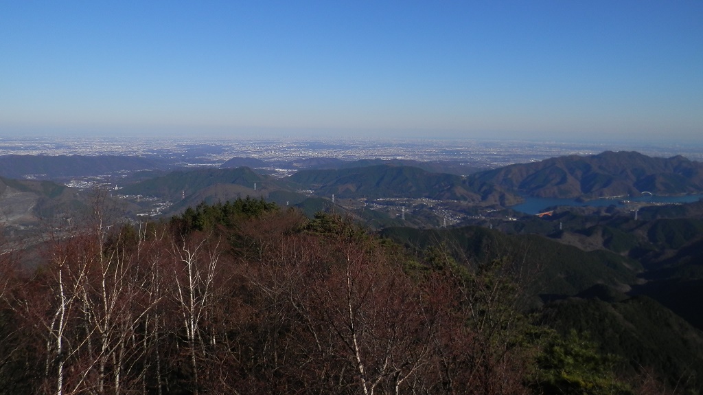 焼山展望台より、横浜ランドマークタワー（中央）を望む