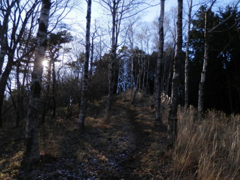 白樺林より、焼山展望台を振り返る