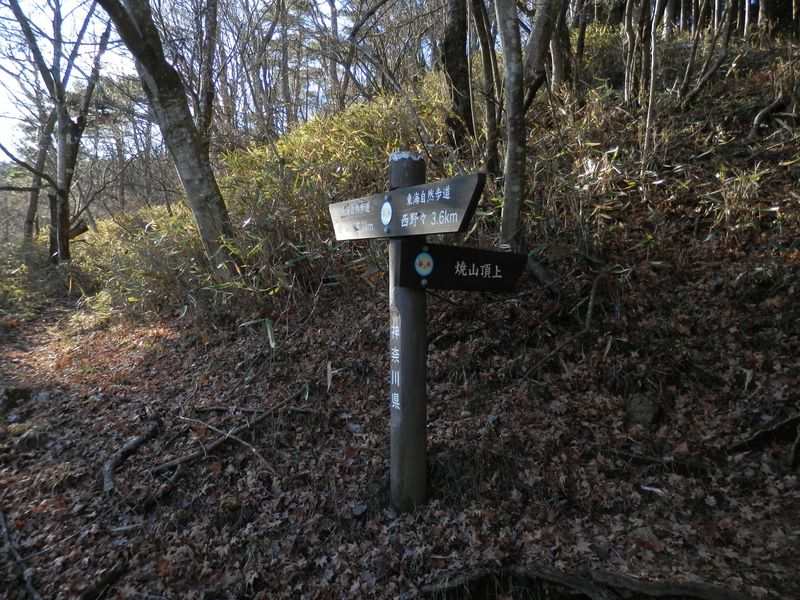 焼山 -- 巻き道を合わせる