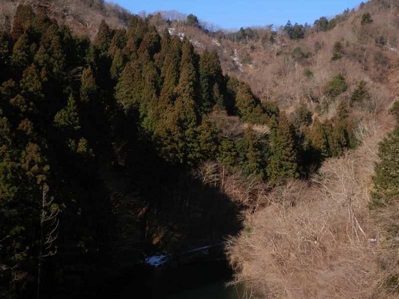 大門橋より、大門沢を望む