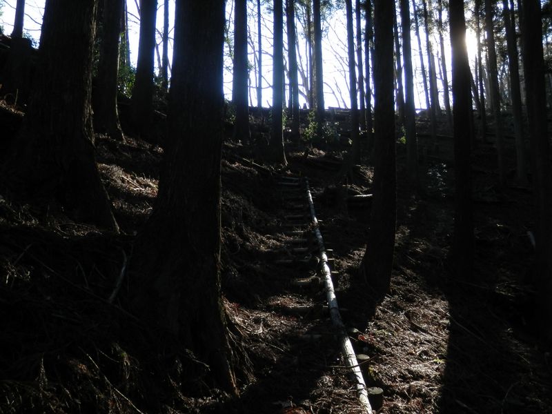 取り付くとすぐ北尾根に乗れる