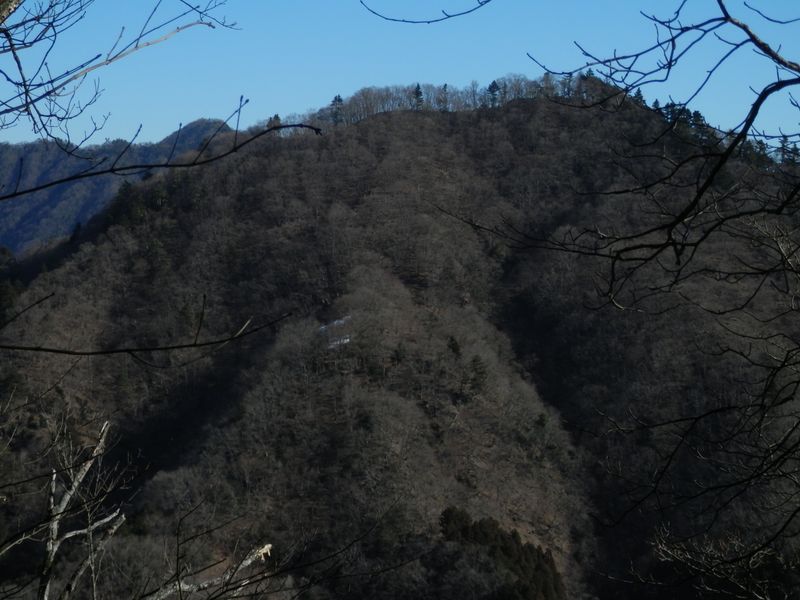 左手（北東）に宮ヶ瀬尾根617m峰