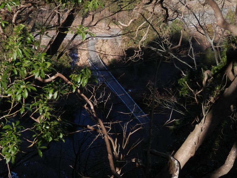 15号橋が、ほぼ真下に見える