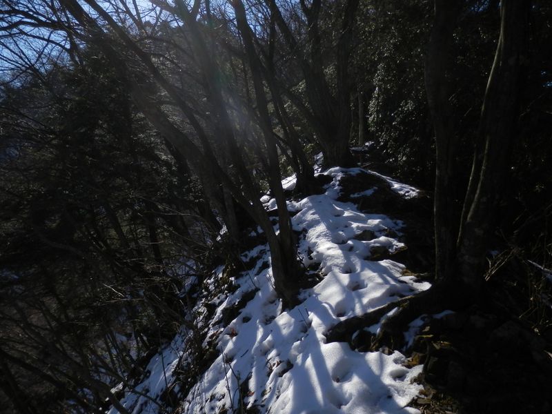 ヤセ尾根だらけの鍋嵐北尾根