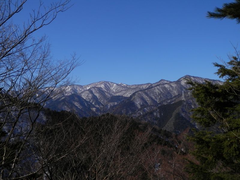 鍋嵐北尾根より、丹沢三峰と丹沢山