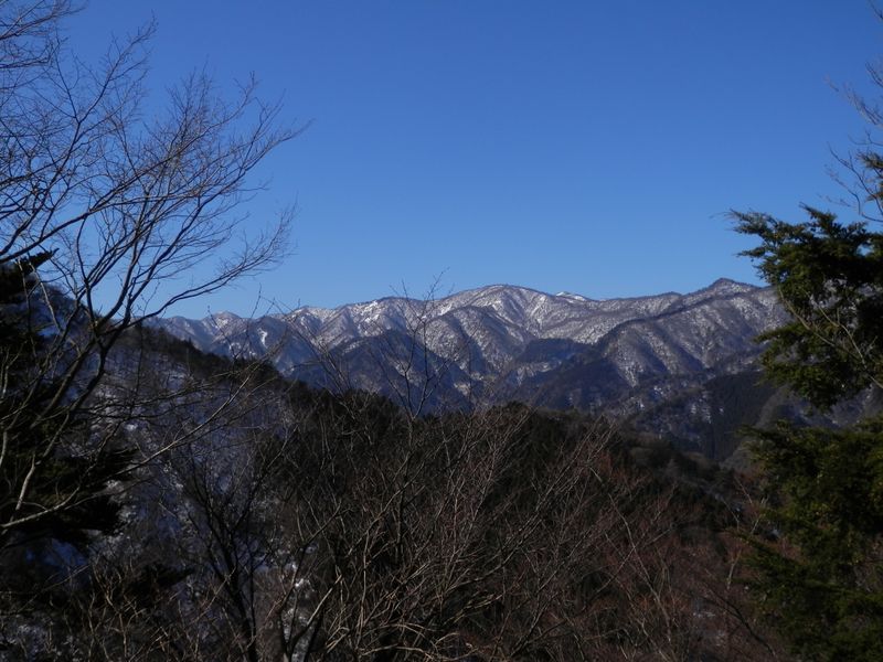 円山木ノ頭から塔ノ岳まで