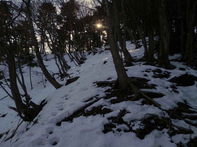 鍋嵐北尾根 -- 677m峰まであと5分ほど