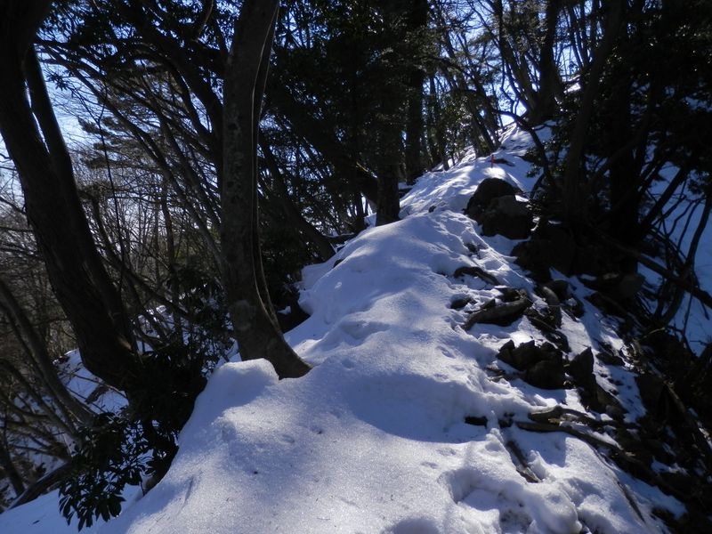 白銀を踏みしめながら、気分よく登って行く