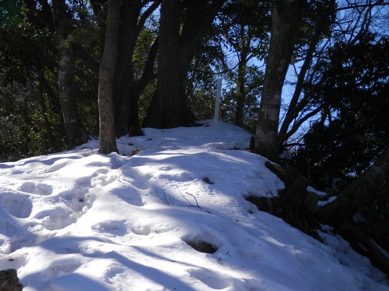 あのピークで右に屈曲するはず