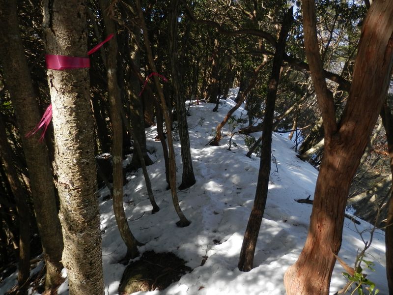 Jピークの北西尾根