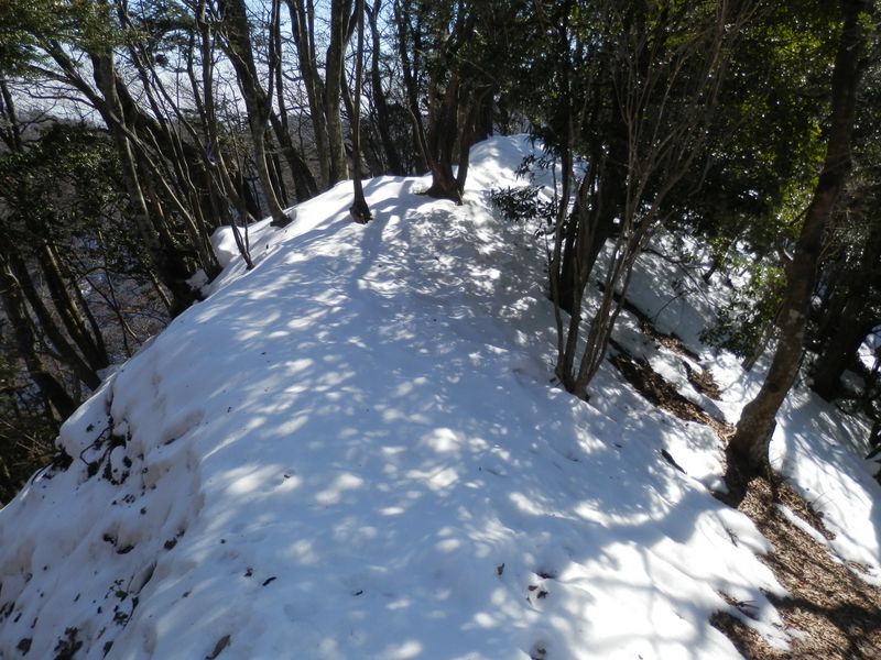 Jピークを下った鞍部