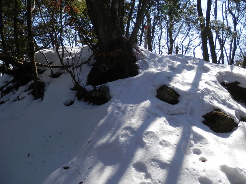 ああ、ここが鍋嵐だ