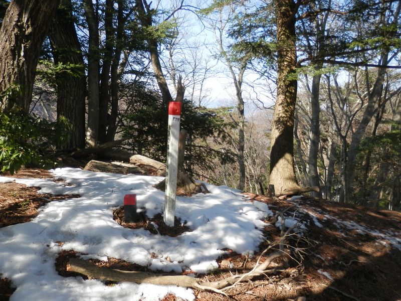 719ｍ峰を表敬して登った