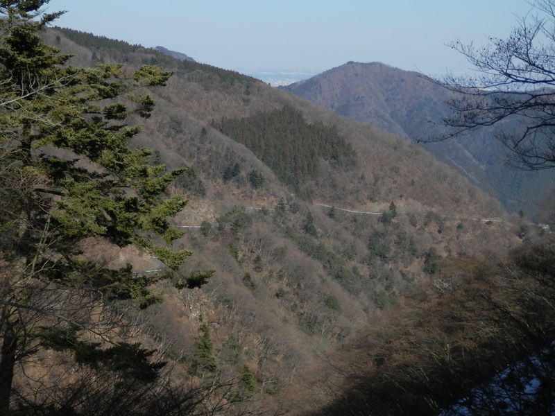 物見峠より、唐沢林道を望む