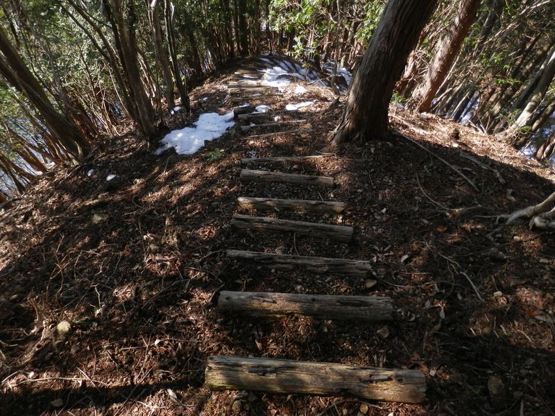 唐沢林道へ、とても小刻みな階段を下る