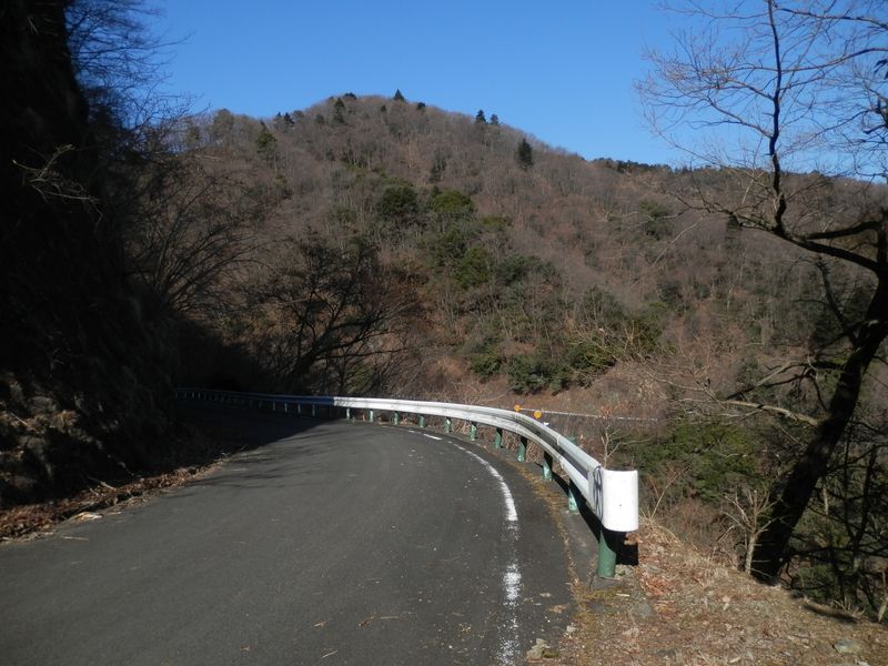 唐沢林道と辺室山