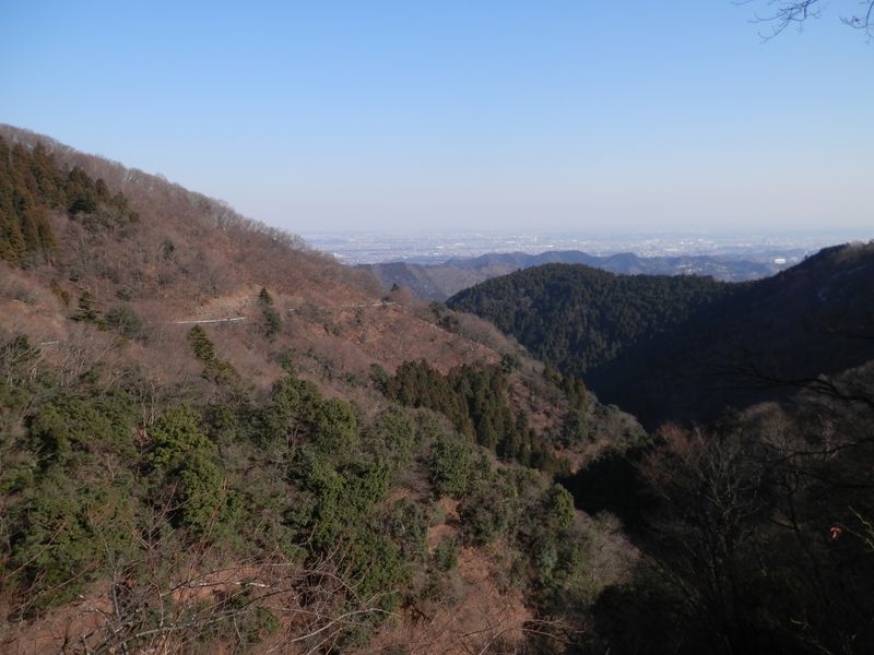 唐沢林道は勾配が緩い