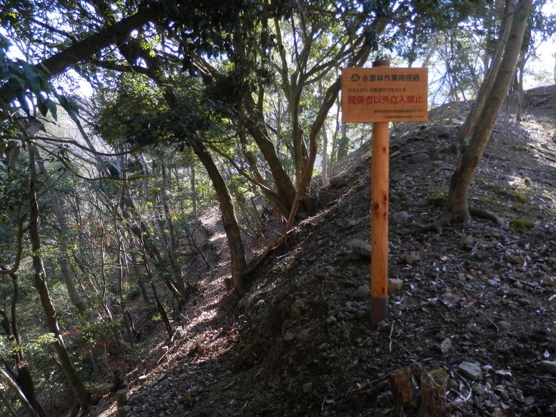 この作業道はどこまで行ける？