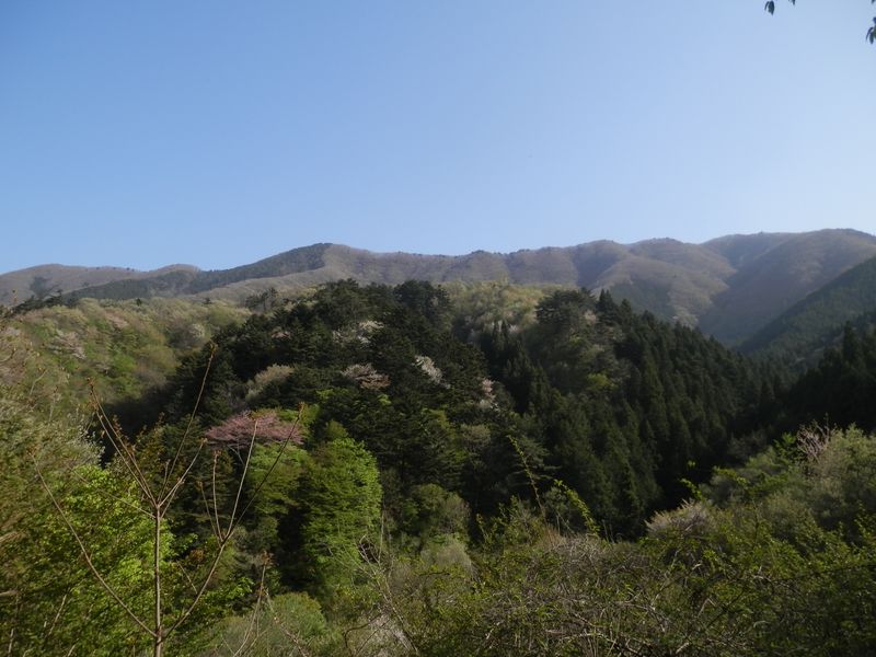 権現山（右）から三ツ森北峰までを望む