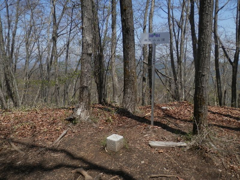 麻生山山頂を通過